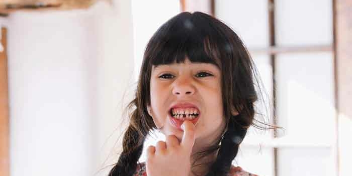 ¿Qué tipos de dientes tenemos y Cuáles son sus funciones?