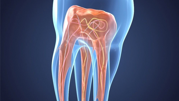 ¿ Qué es una endodoncia?